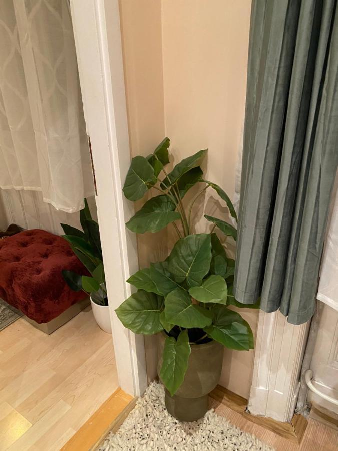 Jungle Story Apartment By Millenaris Park With Free Parking Budapest Bagian luar foto